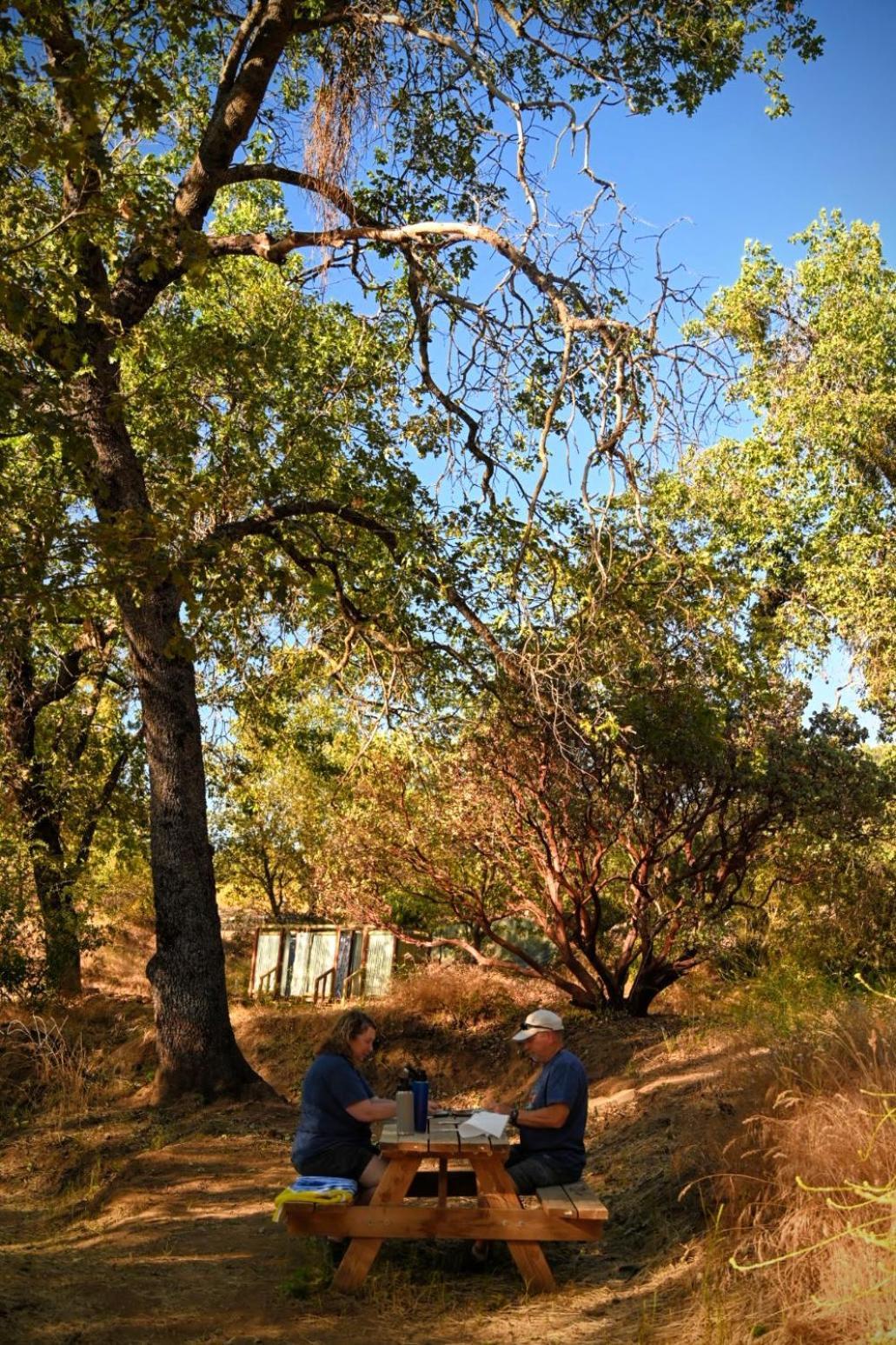 Campground At Sequoia Mountain Farms - Bring Your Own Tent Or Rv - No Bedrooms Or Beds Provided Miramonte Exteriér fotografie